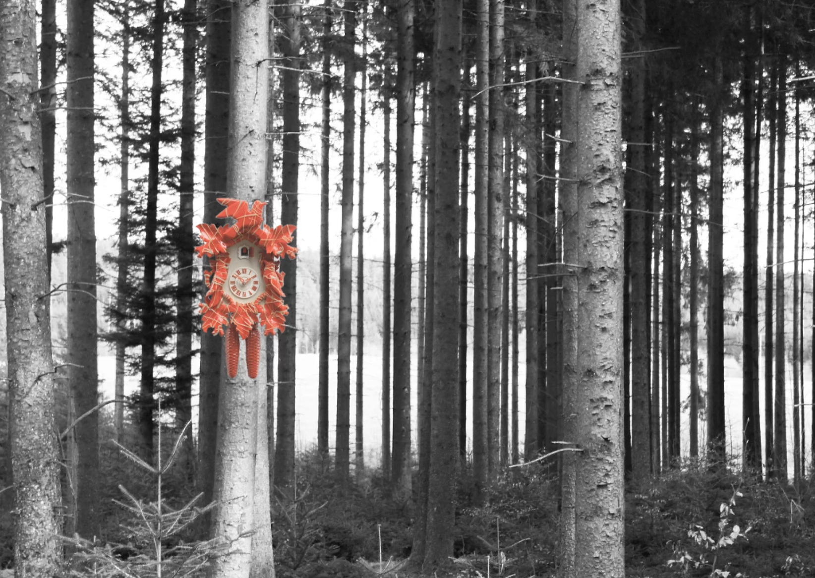 Postkarte "Kuckuck im Wald"
